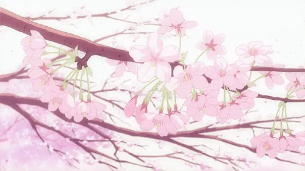 Аниме цветы Сакуры 12