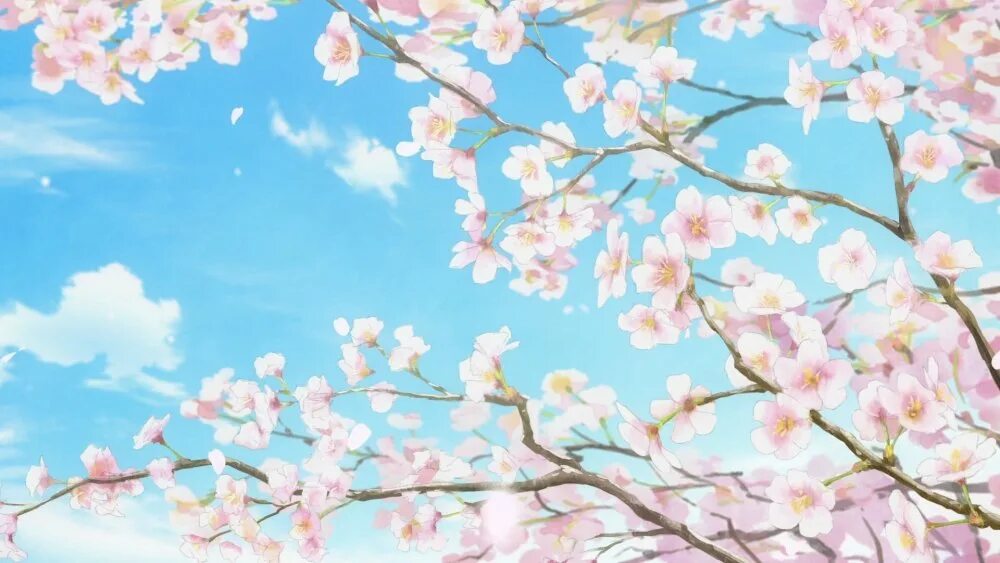 Аниме цветы Сакуры 14