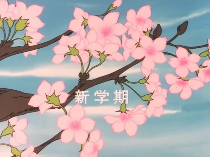 Аниме цветы Сакуры 16