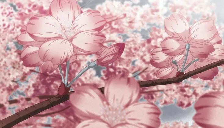 Аниме цветы Сакуры 17