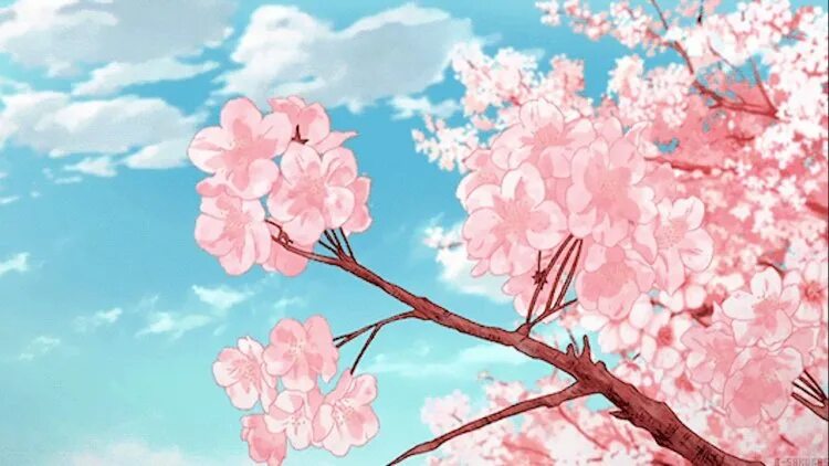 Аниме цветы Сакуры 18