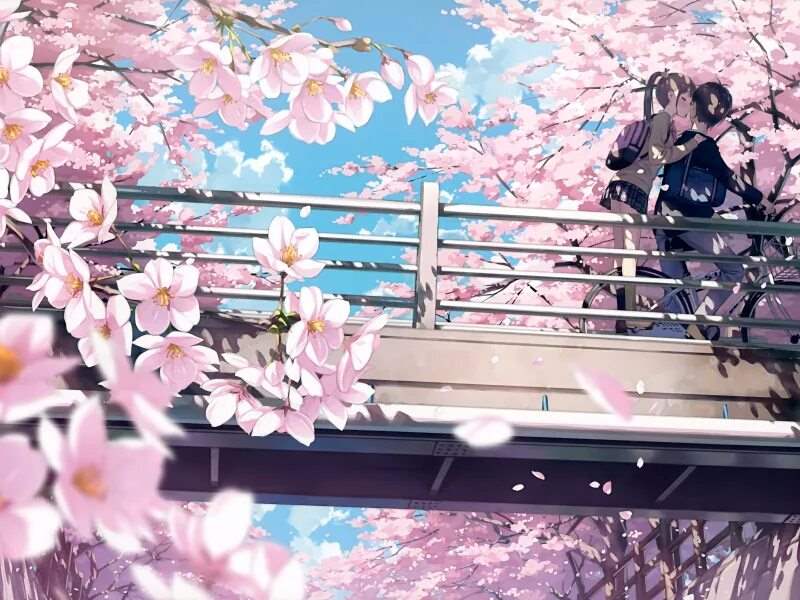 Аниме цветы Сакуры 9