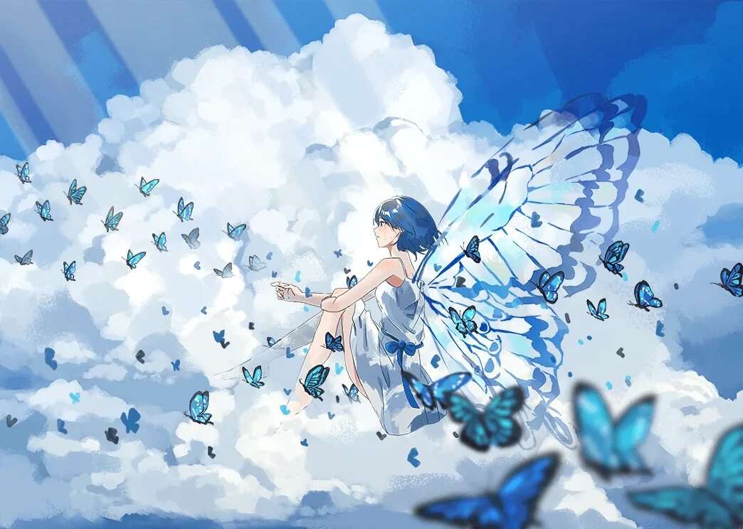 Бабочки в стиле аниме 23