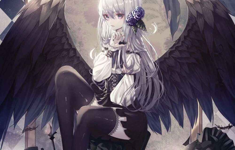 Демон с белыми крыльями 17