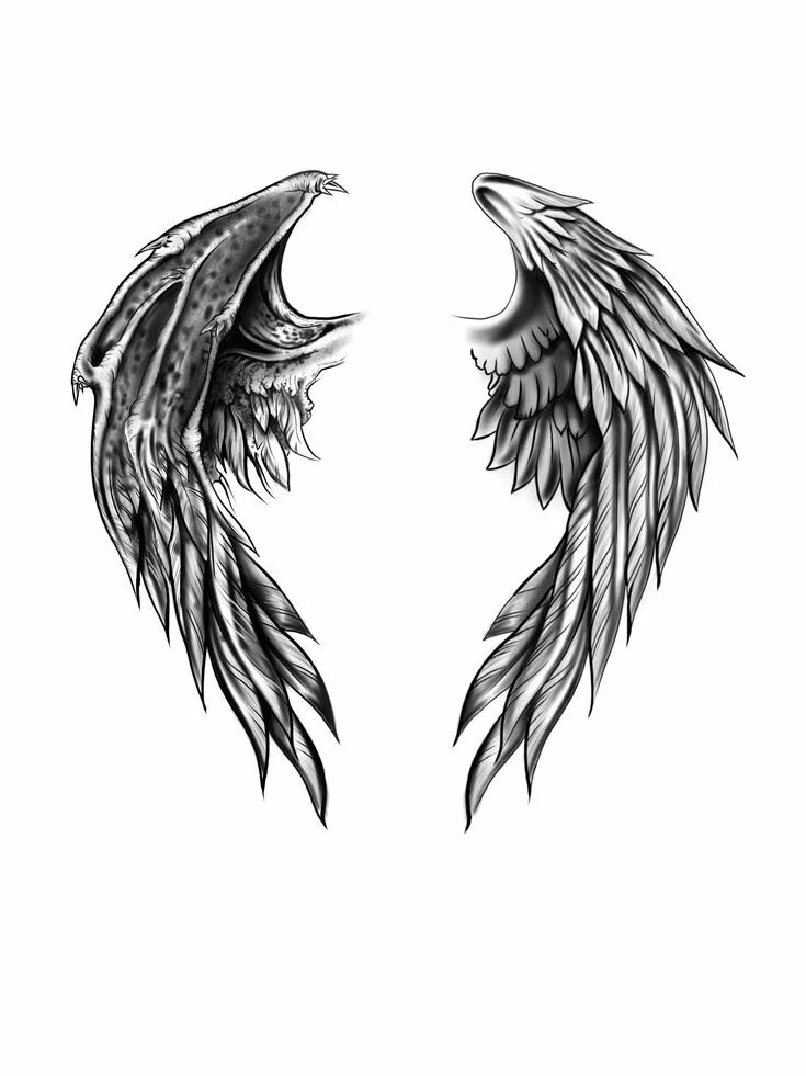 Крылья ангела и демона 24