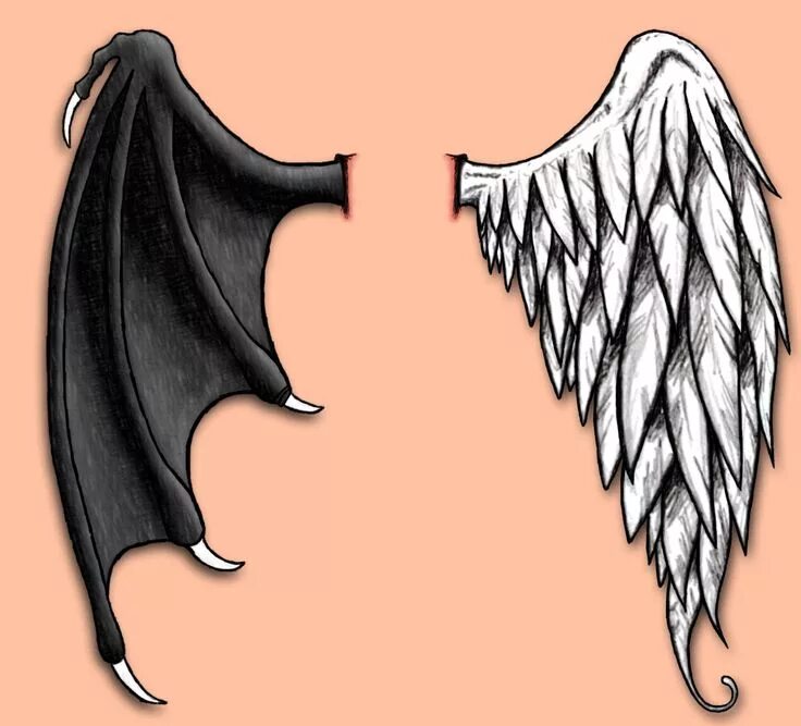 Крылья ангела и демона 4