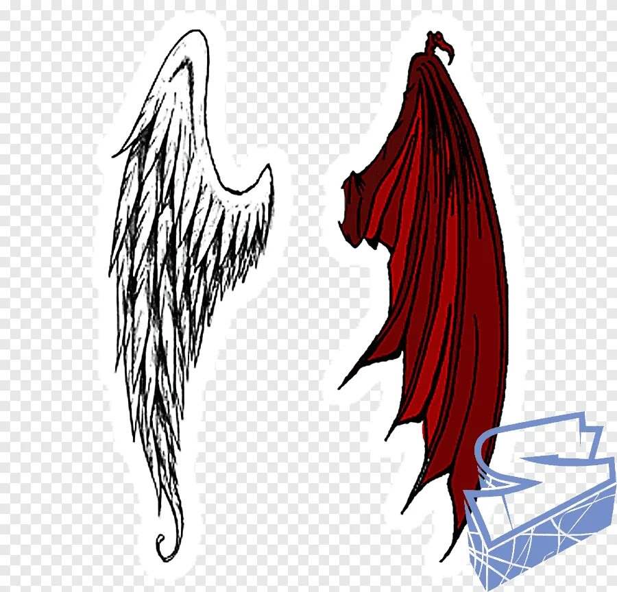 Крылья ангела и демона 7