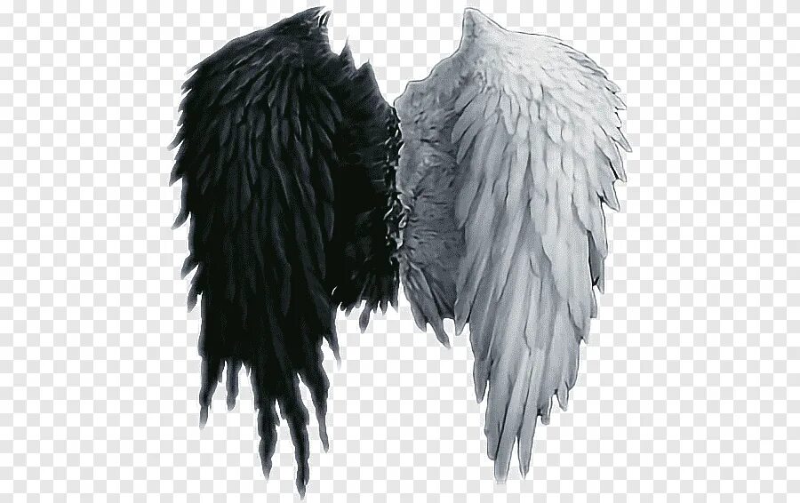 Крылья ангела и демона 8