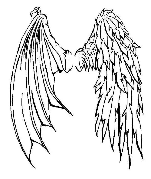 Крылья ангела и демона 9