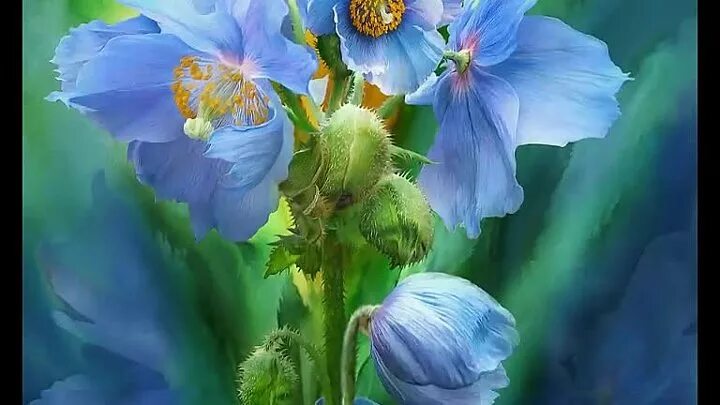 Синие цветы арт 3